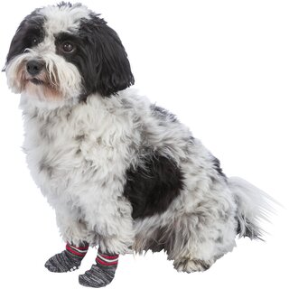 Trixie Hundesocken, 2 Stk., grau