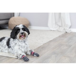 Trixie Hundesocken, 2 Stk., grau