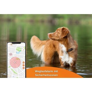 Weenect XS - GPS Tracker Hund wei