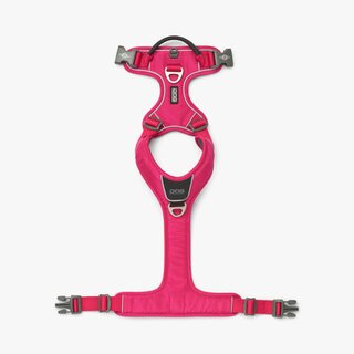 V3 Comfort Walk Pro Harness