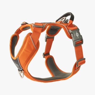 V3 Comfort Walk Pro Harness