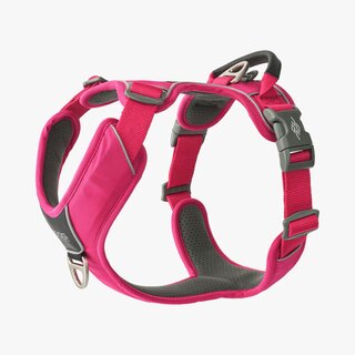 V3 Comfort Walk Pro Harness