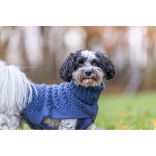 Trixie Pullover Norwood, blau